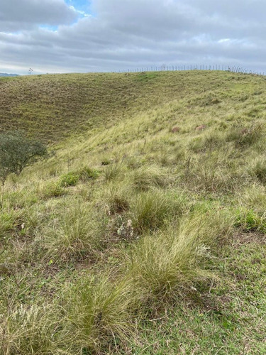 Imagem 27 de 30 de Gui5- Terreno Para Chacaras Direto Com Proprietario!!!