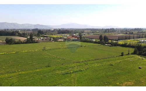 Parcela Rol Propio, 5000 M2 Calera De Tango