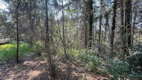 Terreno Habitacional En Venta En San Mateo Tlaltenango, Cuaj