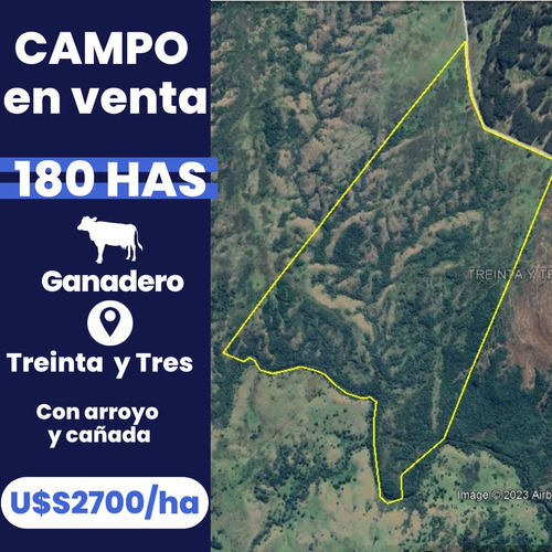 Campo De 180 Hectáreas En Treinta Y Tres U$s 2700/ha