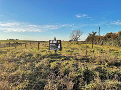 Imagen 2 de 9 de En Venta Lote Zona Parque Industrial - Tandil