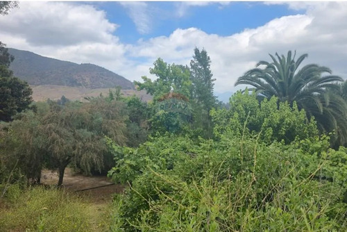 Hermosa Parcela Para Uso Agrícola O Vivienda