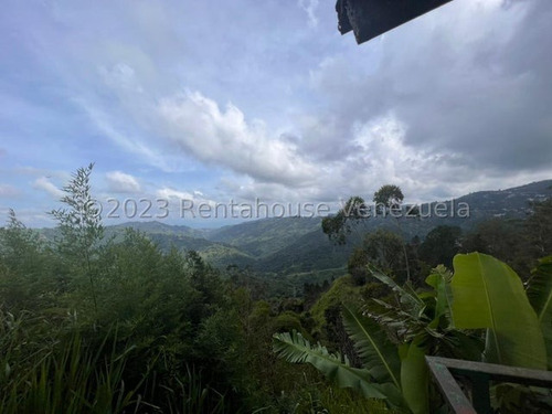 Terreno En Venta Monte Elena Es24-5378