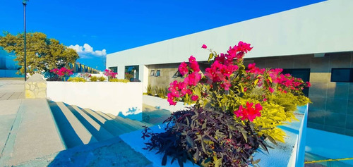 Venta Departamentos De Dos Recámaras Lomas Del Pedregal,la Calera(precios Desde)