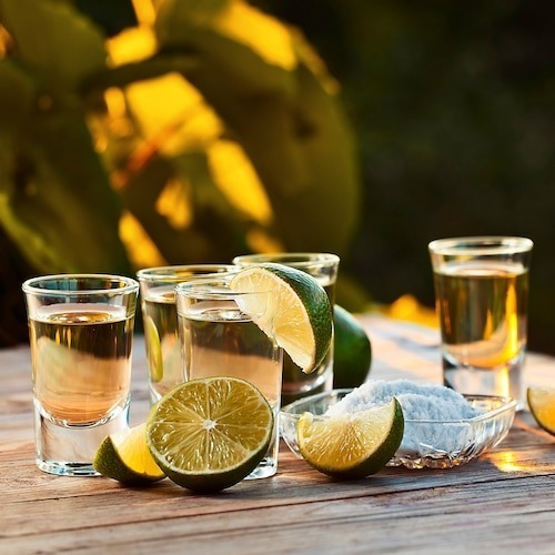 Tequila Don Ramón Reposado 3 Litros