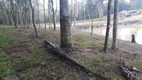 Imagem 5 de 8 de Chácaras A Venda