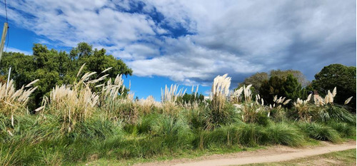 Lote En Gardenias - Costa Del Este