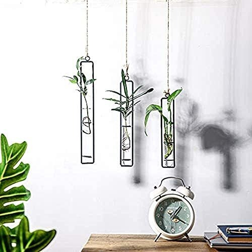 Bigsee 3 Pcs Different Length Test Tube Hanging Glass P...