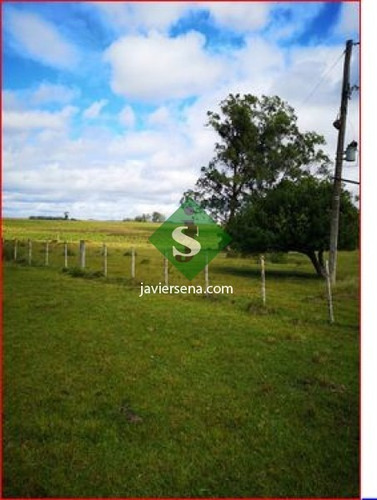 Venta De Campo En Treita Y Tres, 70 Hectareas Con Casa. - Ref: 168050