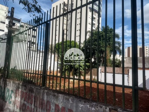 Imagem 4 de 6 de Terreno À Venda, Centro - Cascavel/pr - 11589