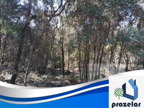 Imagem 1 de 14 de *** Lindo Terreno ***