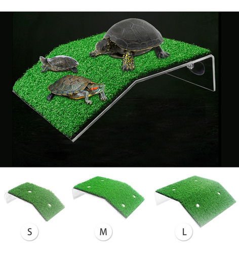 Rampa Tortuga Tortuga Basking Plataforma Rampa De Tortuga Re