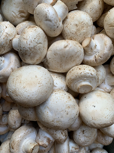 Hongos Champignon Fresco Calidad Gastronómicos 1kg