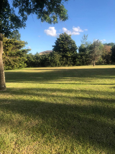 Lote En Venta En Santa Ana Moreno