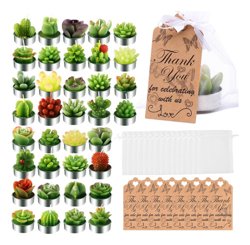 Aixiang 72 Sets Cactus Candles Suculent Talight Candles + Or