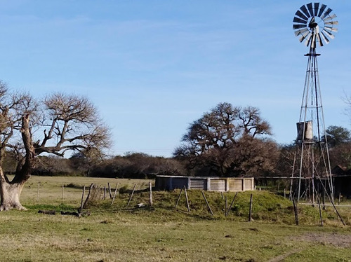 Imagen 21 de 24 de Venta Campo Ganadero Vera Y Pintado Ganadero 462 Ha ($1300)