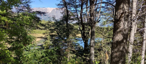 Imagen 3 de 14 de Venta En Bariloche Lote Sobre Costa Laguna Ezquerra Sector Lago Morenito Con Increíble Vista A Cerro López