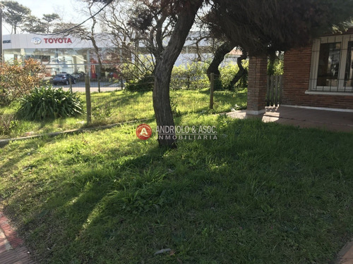 Punta Del Este, Área Comercial Pda. 5- Ref: 6710