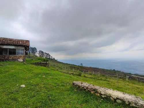 Imagen 5 de 25 de Finca Posada En Venta Táchira