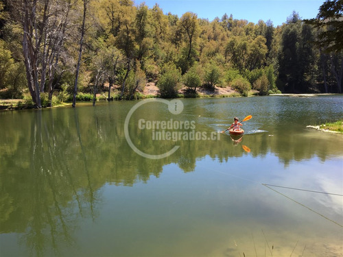 Sitio En Venta En Curicó