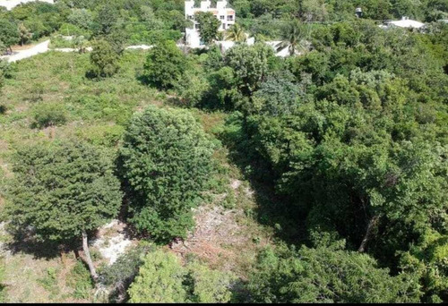 Imagen 4 de 5 de Excelente Terreno En Venta Ideal Para Desarrollo En Cancún Rd00221