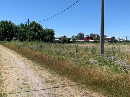 Imagen 4 de 12 de Terreno En Venta En Los Hornos | 80 Bis E/141y142 (lote 16)