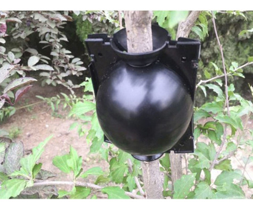 Paquete De 6 Herramientas De Injerto De Bola De
