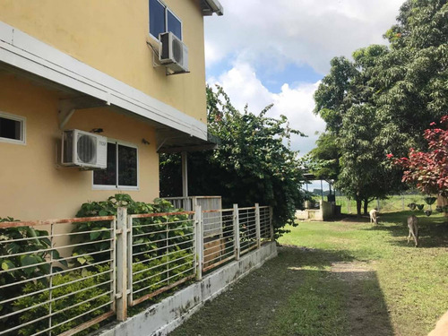 Imagen 6 de 27 de En Venta Finca De 118 Hectáreas , Y Granja Porcina , De 3.5