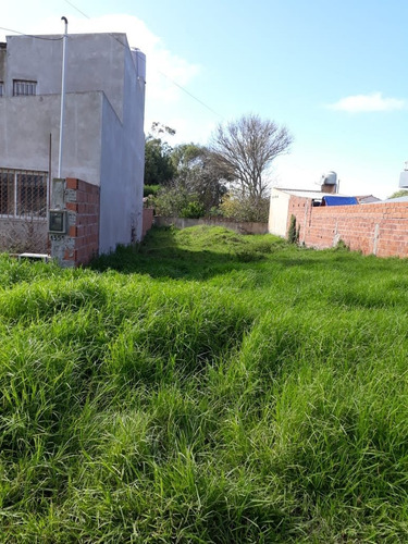 Imagen 5 de 6 de Venta De 2 Lotes, 300 M2 C/u (600 M2 Total)