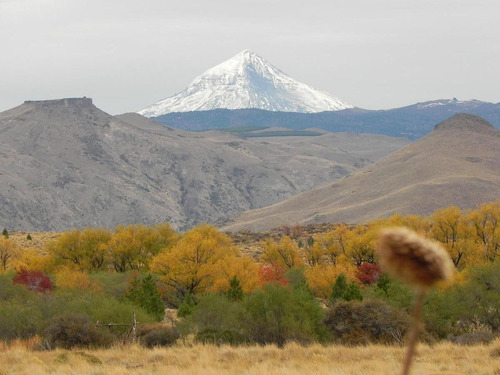 Imagen 2 de 30 de Campo En Venta Zona Alumine, Neuquén