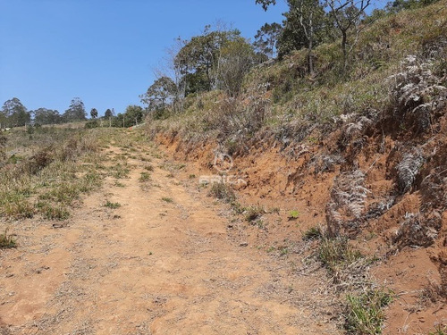 Imagem 8 de 12 de Terreno Com 1.000 M² Em Albuquerque. - Te00349 - 68718912