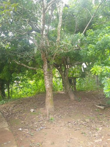 Chácara Em Ibiúna No Bairro Rosarial