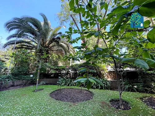 Nuevo Precio Precioso Penthouse Con Terraza Panorámica.