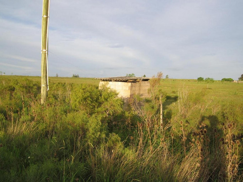 Imagen 14 de 18 de Campo Pegado A Tala, 22 Hás