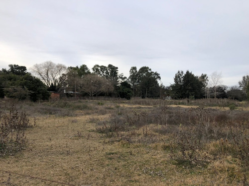 Imagen 6 de 8 de 2 Lotes (valor De 1) Punta Del Indio T-763