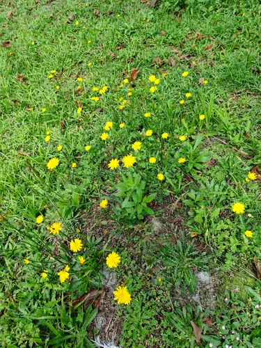 Venta Lote En Guarne