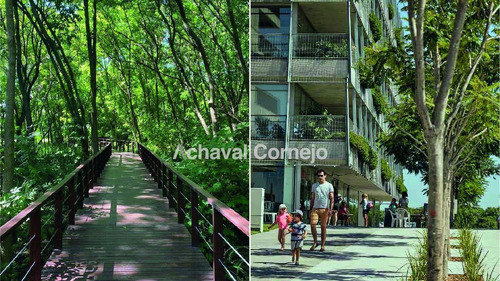 Imagen 6 de 20 de Puertos Escobar - Nativas - Nuevo Lanzamiento ! Lote Interno.