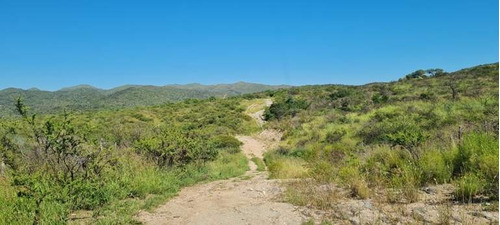 Imagen 19 de 29 de Venta Campo Falda Del Cañete-8,5 Has- Con Vista
