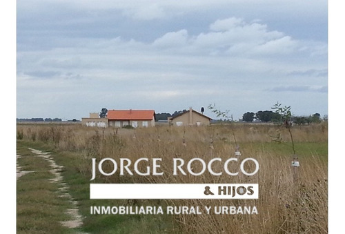 Campo En Venta En Ranchos. 115 Has. Mixto Sobre Ruta