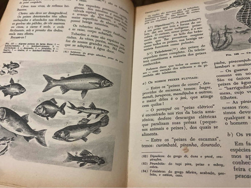 Livro Didático Científica Editora Companhia Nacional Antigo (Usado)