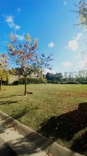 Imagen 4 de 13 de Oportunidad Lote En Venta Al Rio En El Yacht - Nordelta - Tigre