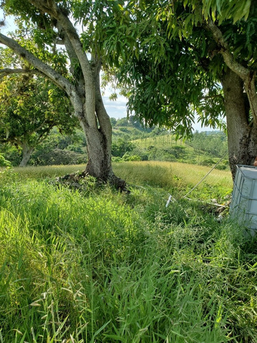 Aquí Tienes Con El Rio Para Tu Mejor Inversión En Sajoma