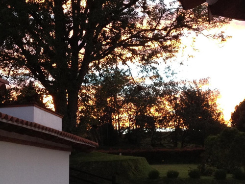 Imagen 5 de 19 de Venta De Casa En Alto De Las Palmas El Poblado Valle Alto
