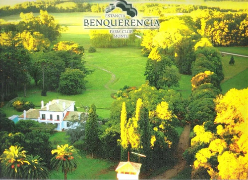Imagen 5 de 8 de Chacra En Venta 3 Has Benquerenia Farm Club