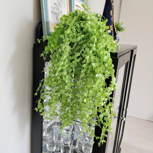 Imagem 5 de 5 de Pendente Dinheiro Penca Planta Artificial Permanente 75cm