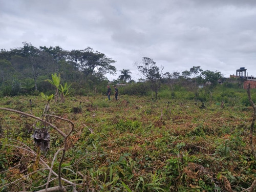 Imagem 8 de 9 de Terreno Na Praia 700m Da Rodovia Com 275m² 6767