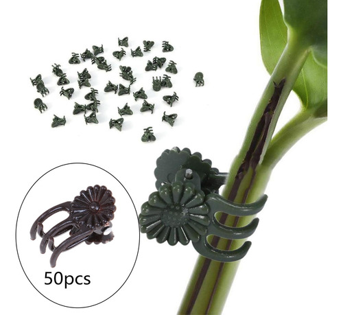 Juego De 50 Pinzas De Plástico Para Orquídeas, Marrón