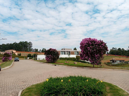 Imagem 5 de 14 de Terreno Com Vista Para O Campo De Golf Do Vila Da Mata - Vila Darcy Penteado, (são Roque) - Te8992