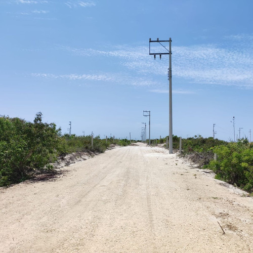 Imagen 4 de 24 de Terreno En Playa Chicxulub En Venta. Con Acceso A La Playa