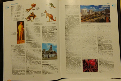 Colección De Libros - Diccionario Enciclopédico